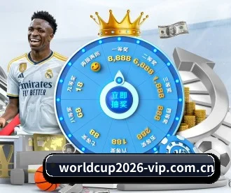2026世界杯 APP 深度功能
